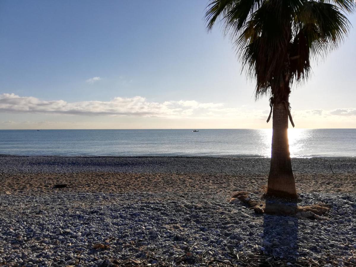 Appartement 2P Et Parking Prive A 50M Des Plages. Villeneuve-Loubet Exterior foto